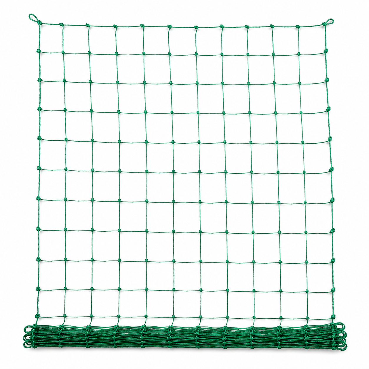 Filet de palissage vert résistant 1x5 m